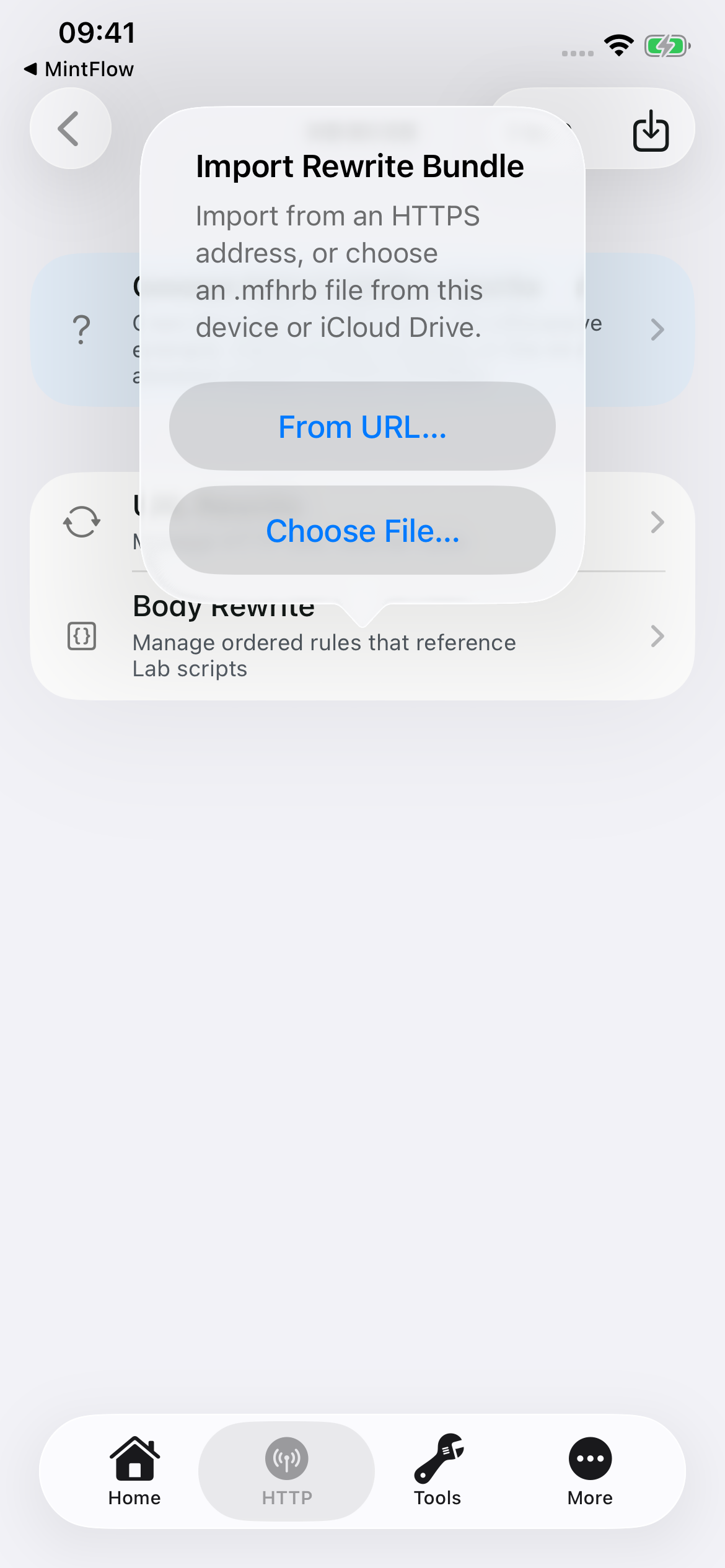 MintFlow 2.0.0 Rewrite screen offering From URL and Choose File for an MFHRB import